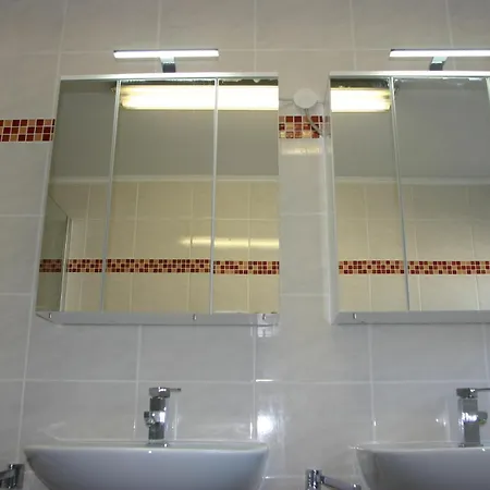 Apartmentbuymetzingen Διαμέρισμα *